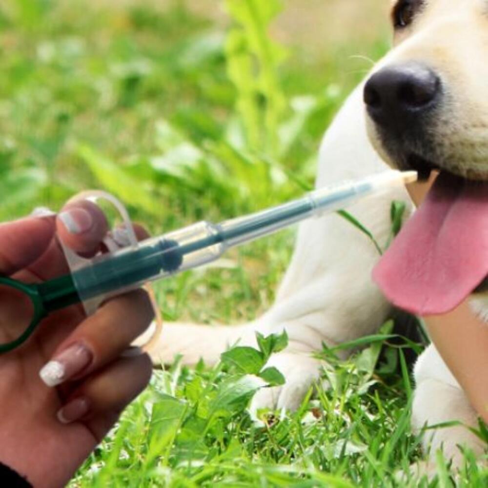 고양이 필건 알약 투약기 강아지 알약 먹이기 물약 주사기