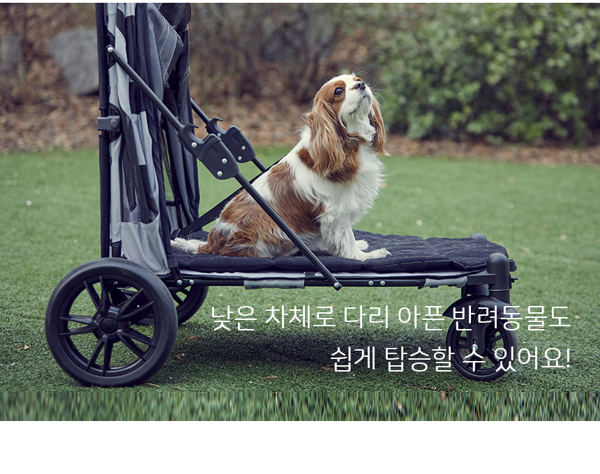 보니렌 펫11 PET11 대형견 중형견 저상형 강아지 유모차