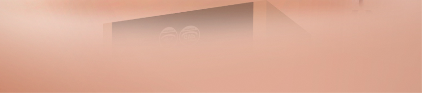 삼육제약 더홍삼정 진액골드 프리미엄 대용량 100포 상자에 검정색 투피스 정장 여성분이 상품을 안내하는 그림 