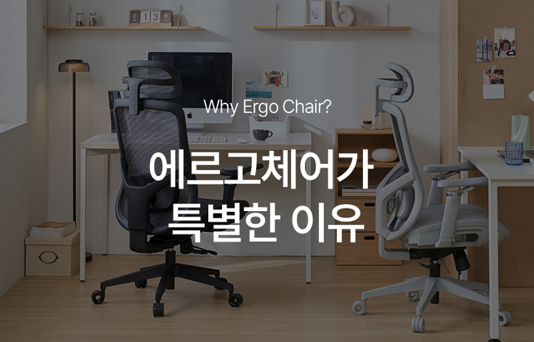 누카 에르고체어 컴퓨터 사무용 사무실 책상 5D 게이밍 학생 메쉬의자 E30G