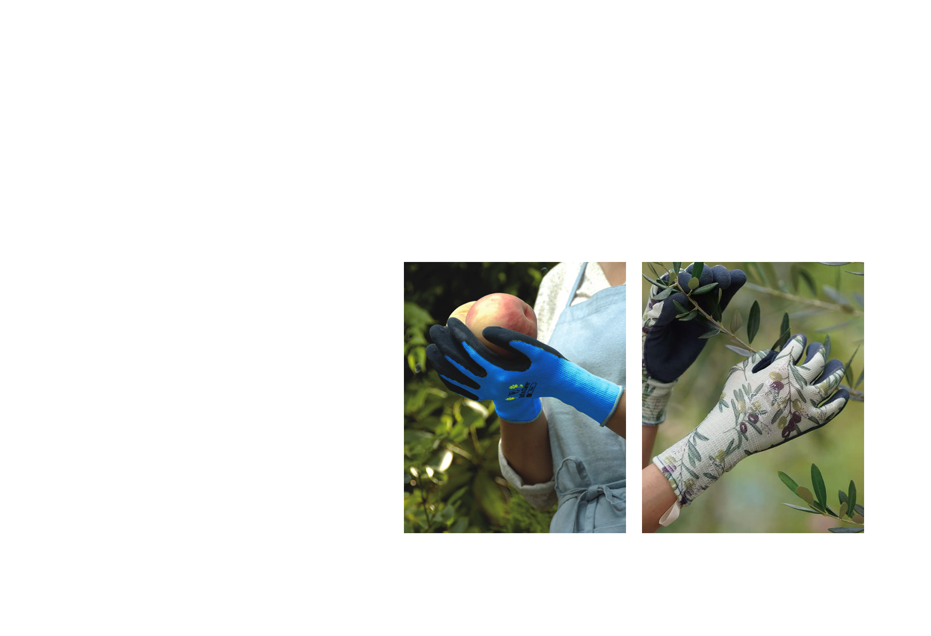 토와 브랜드 소개 5-1