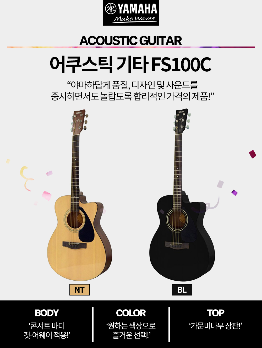FS100C