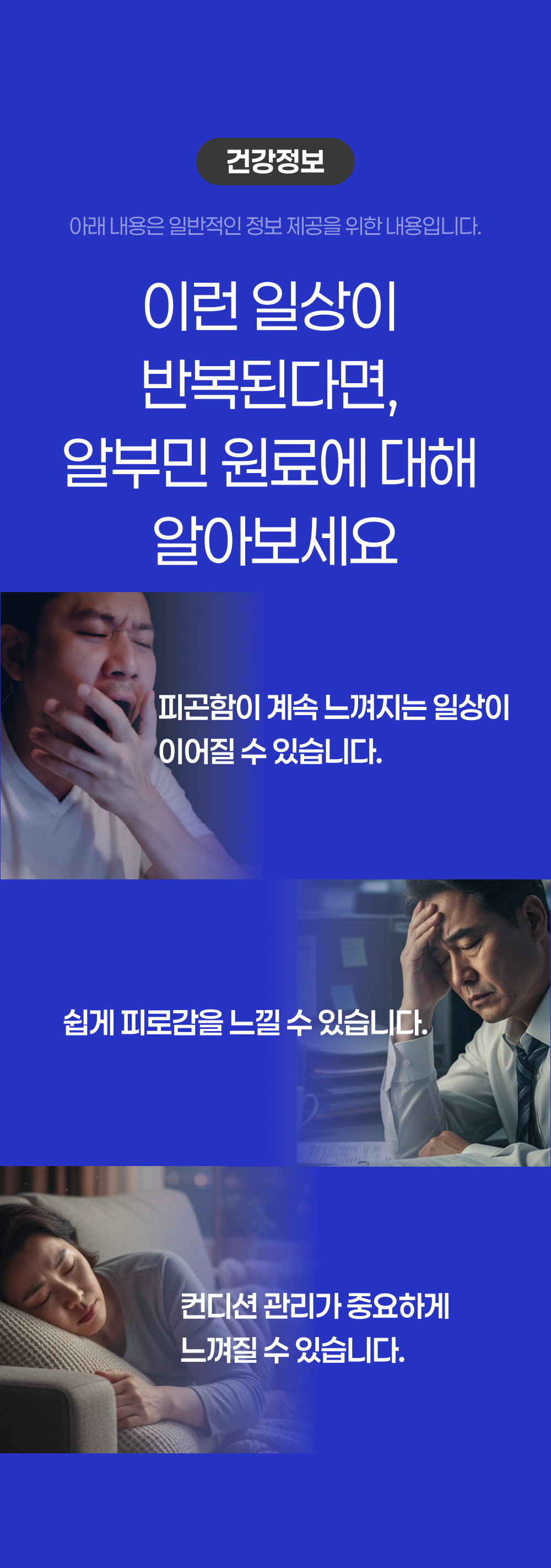 하이톡 알부민 1000mg x 60정 / 고함량 단백질 난백영양제 벨기에산