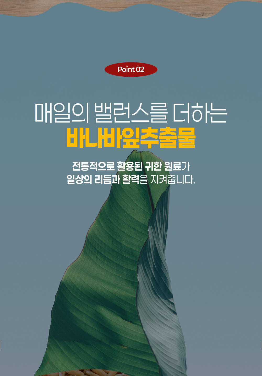 하이톡 폴리코사놀100 500mg x 30정 / 사탕수수왁스 자연유래 데일리영양제