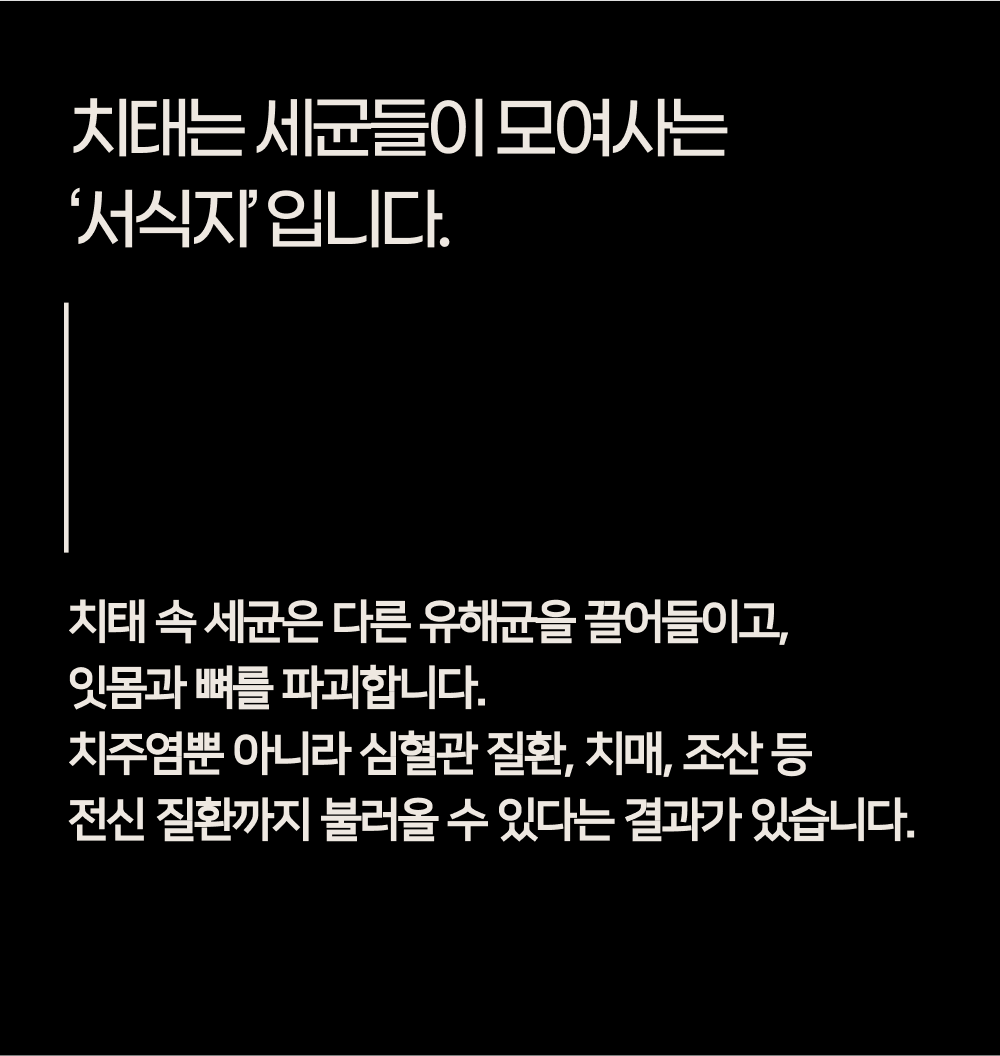 루페 (Lufe) 자연주의 치약 99g / 1개