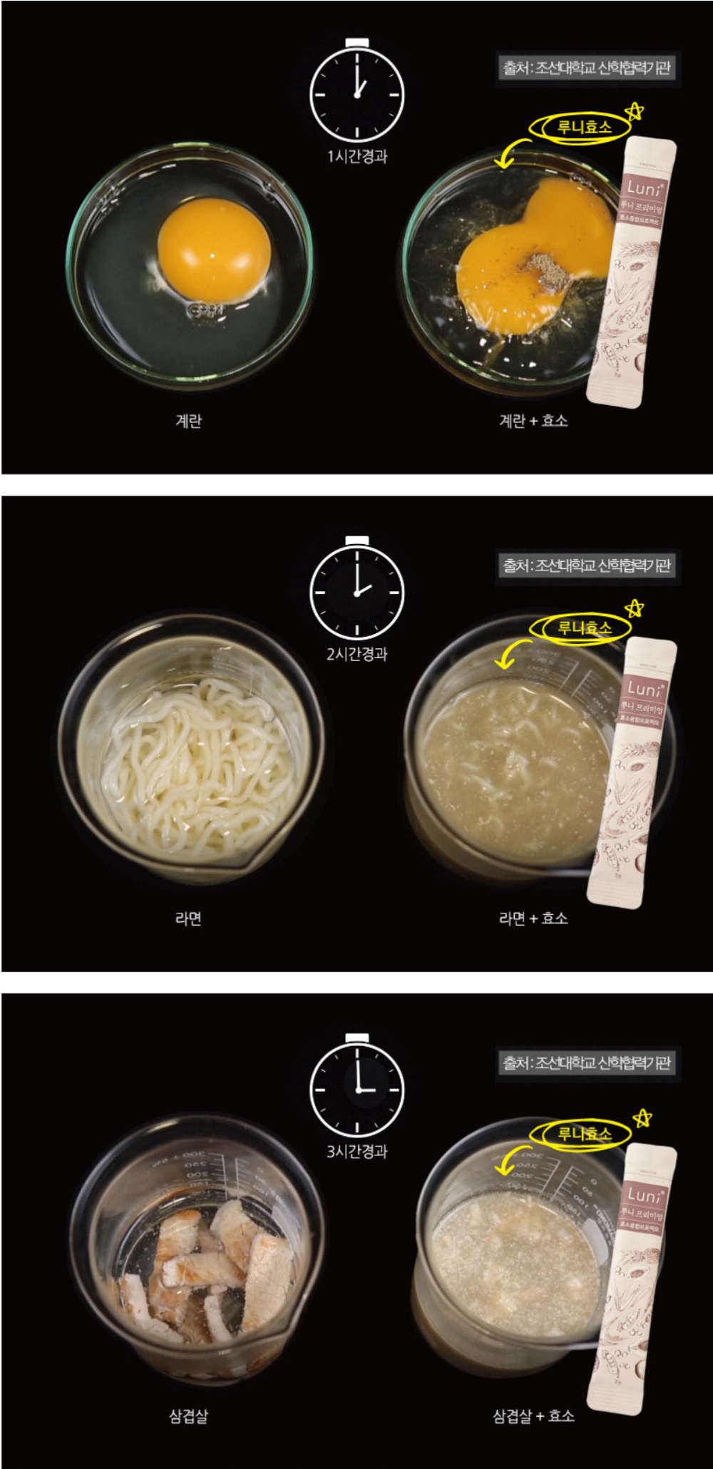 루니프리미엄 효소 소화 실험 - 계란, 라면, 삼겹살에 효소를 넣었을 때 단백질과 탄수화물이 분해되는 과정 비교 이미지
