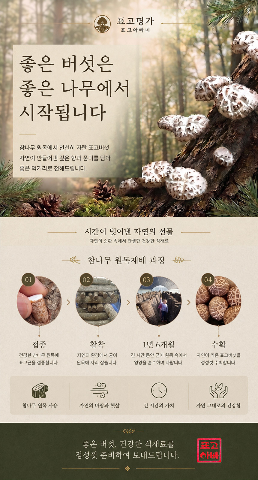 참나무 원목재배 과정과 자연 건조로 완성한 국내산 건표고버섯