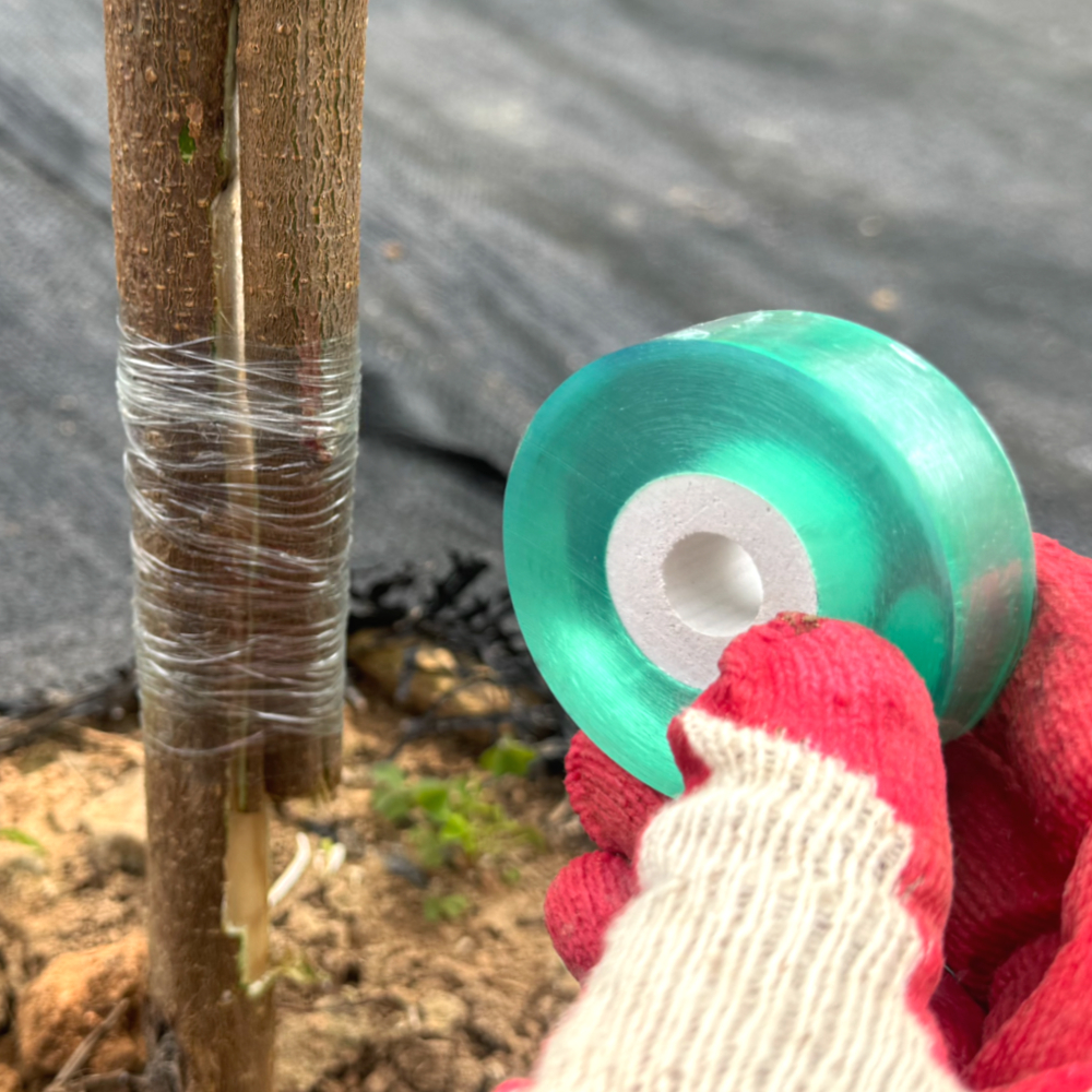 광분해 접목 비닐 테이프 2cm