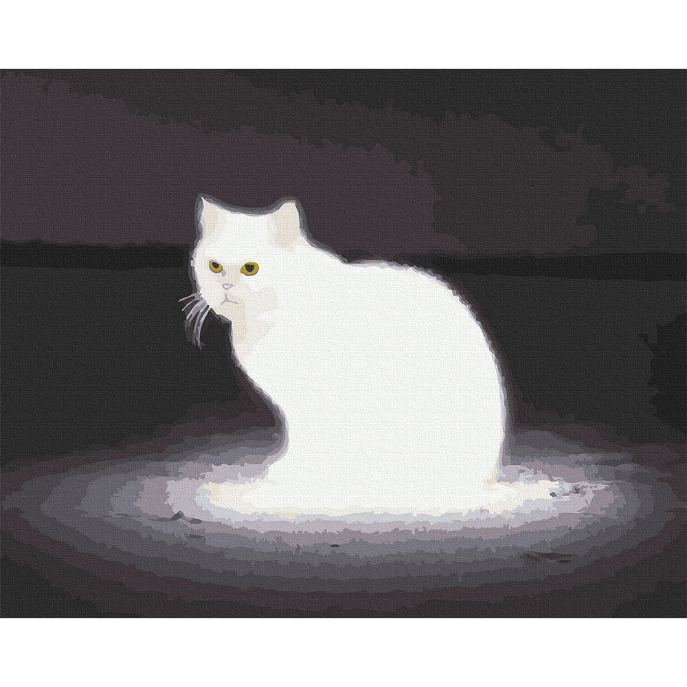 아트조이 DIY 명화그리기 (물감2배) 문라이트 고양이 40x50cm