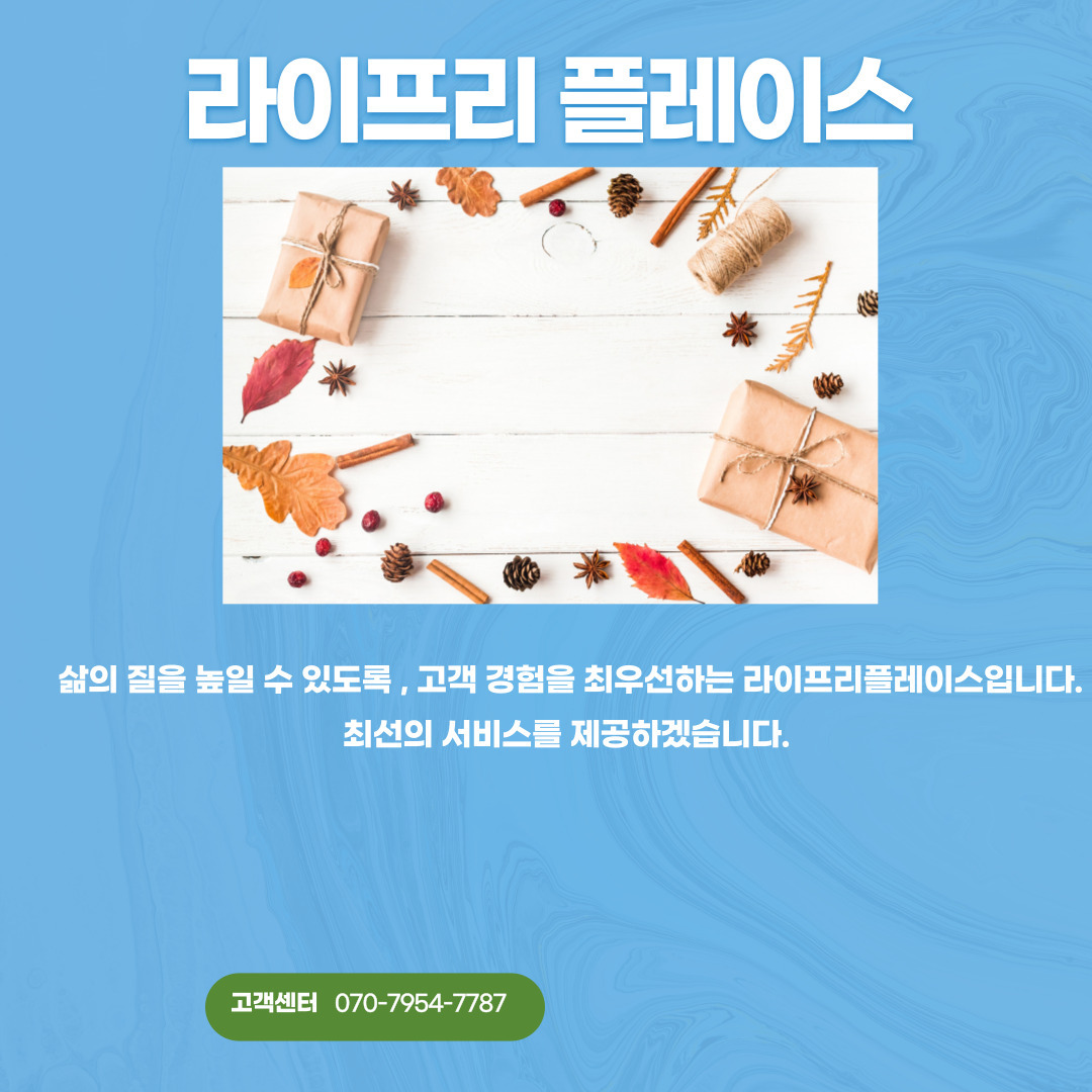 정비소 갭 틈새게이지 밸브 정비 간극 측정용 활용도 - 바이즐