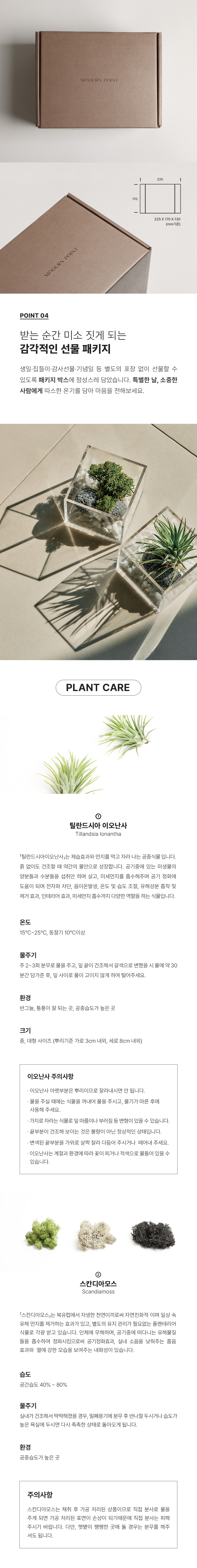 원목 플렌테리어 공기정화 식물 LED 무드등 상세 이미지 4