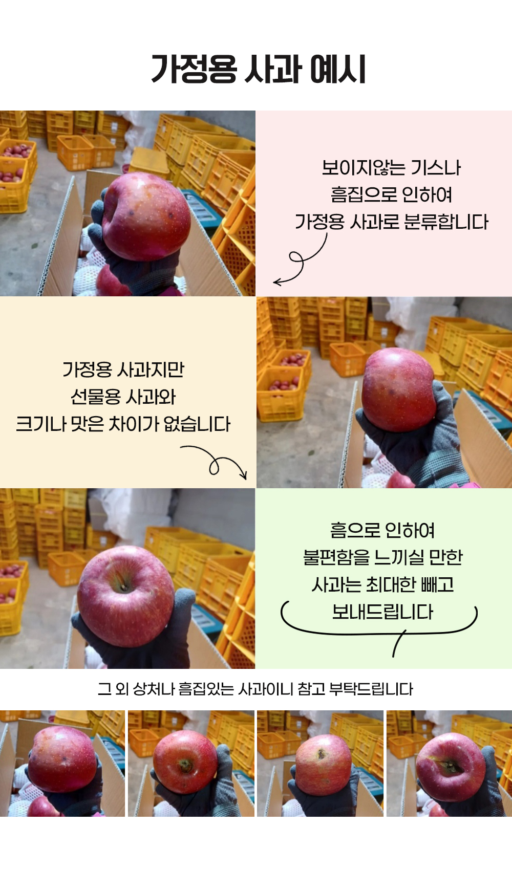 mungyeong_apples_04.jpg