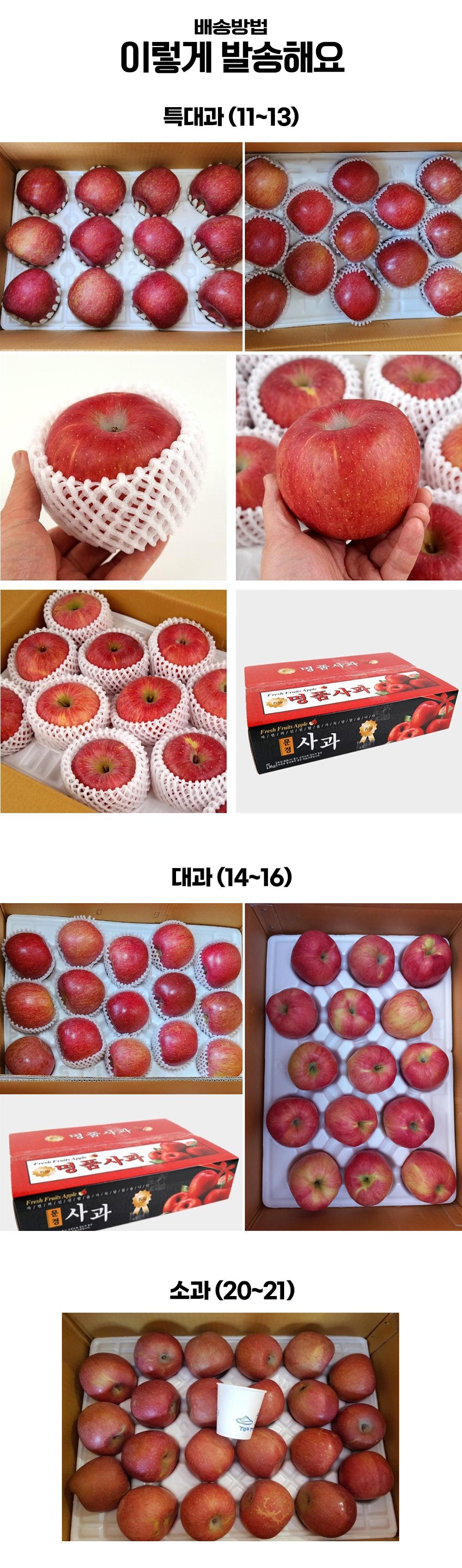 mungyeong_apples_05.jpg