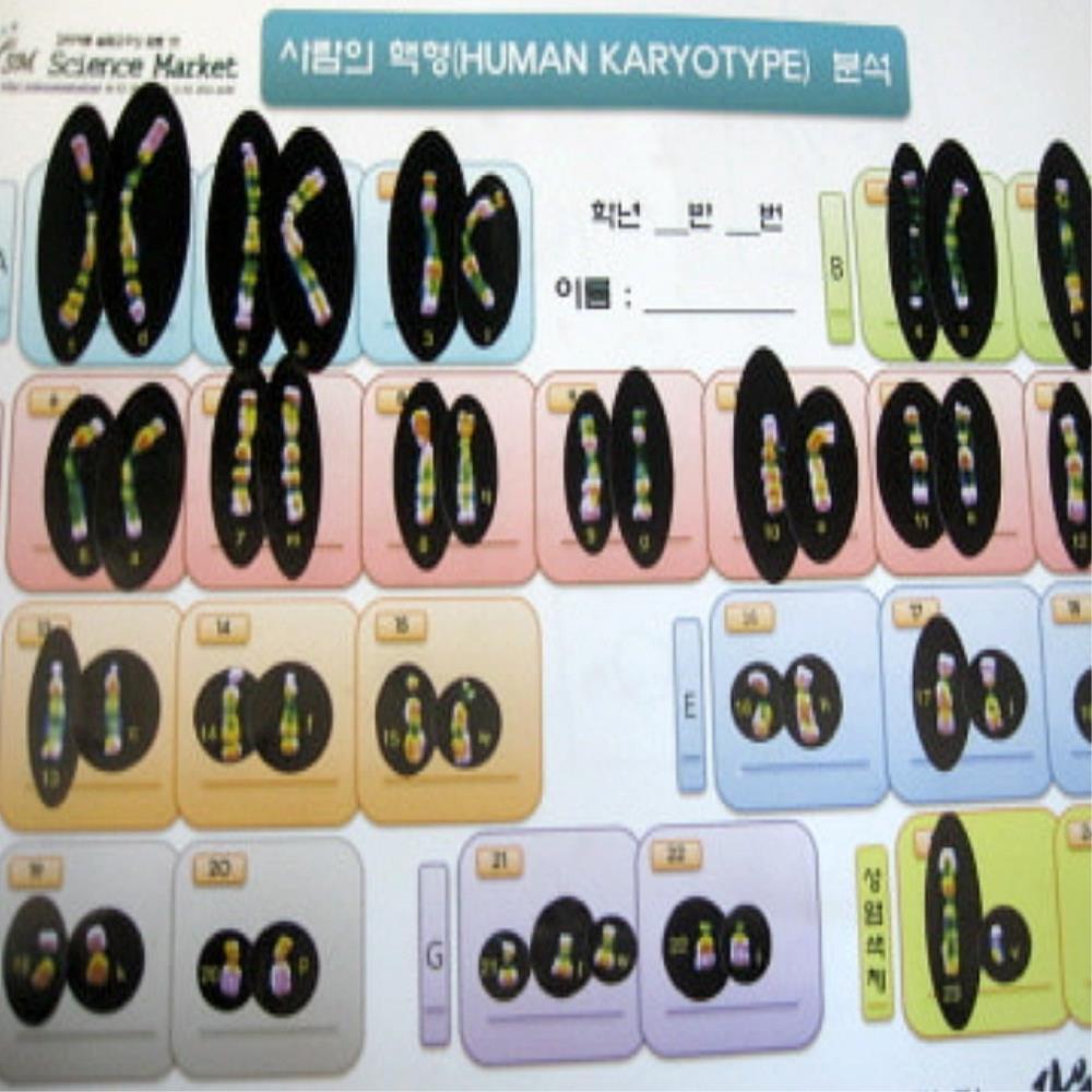 와이즈과학