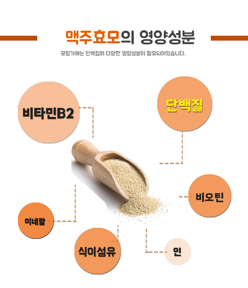 %EB%A7%A5%EC%A3%BC%ED%9A%A8%EB%AA%A8%ED%99%98%2010.jpg