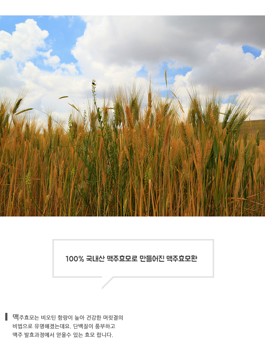 %EB%A7%A5%EC%A3%BC%ED%9A%A8%EB%AA%A8%ED%99%98%208.jpg