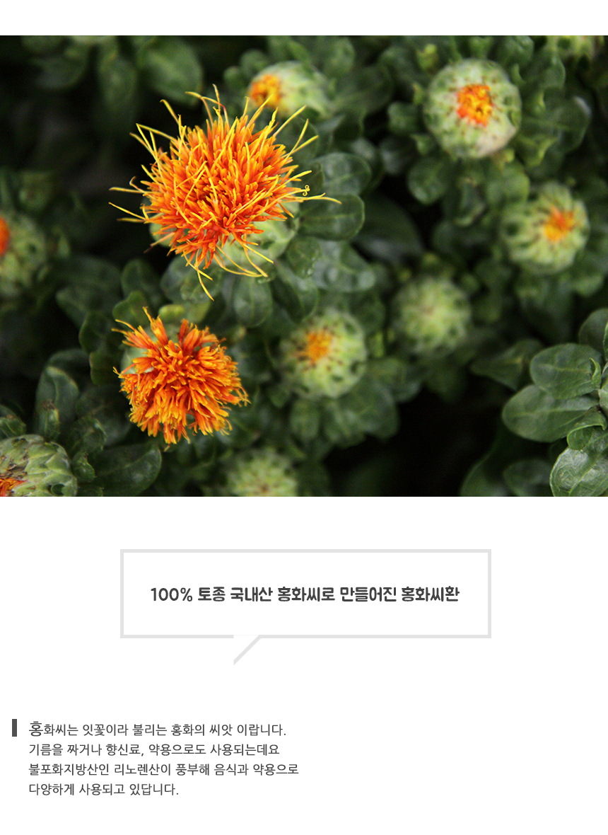 %EB%B3%B6%EC%9D%80%20%ED%99%8D%ED%99%94%EC%94%A8%ED%99%98%208.jpg