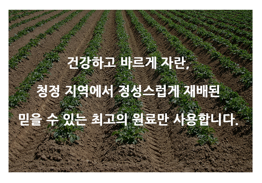 %EC%96%91%EB%B0%B0%EC%B6%94%ED%99%98%203.jpg