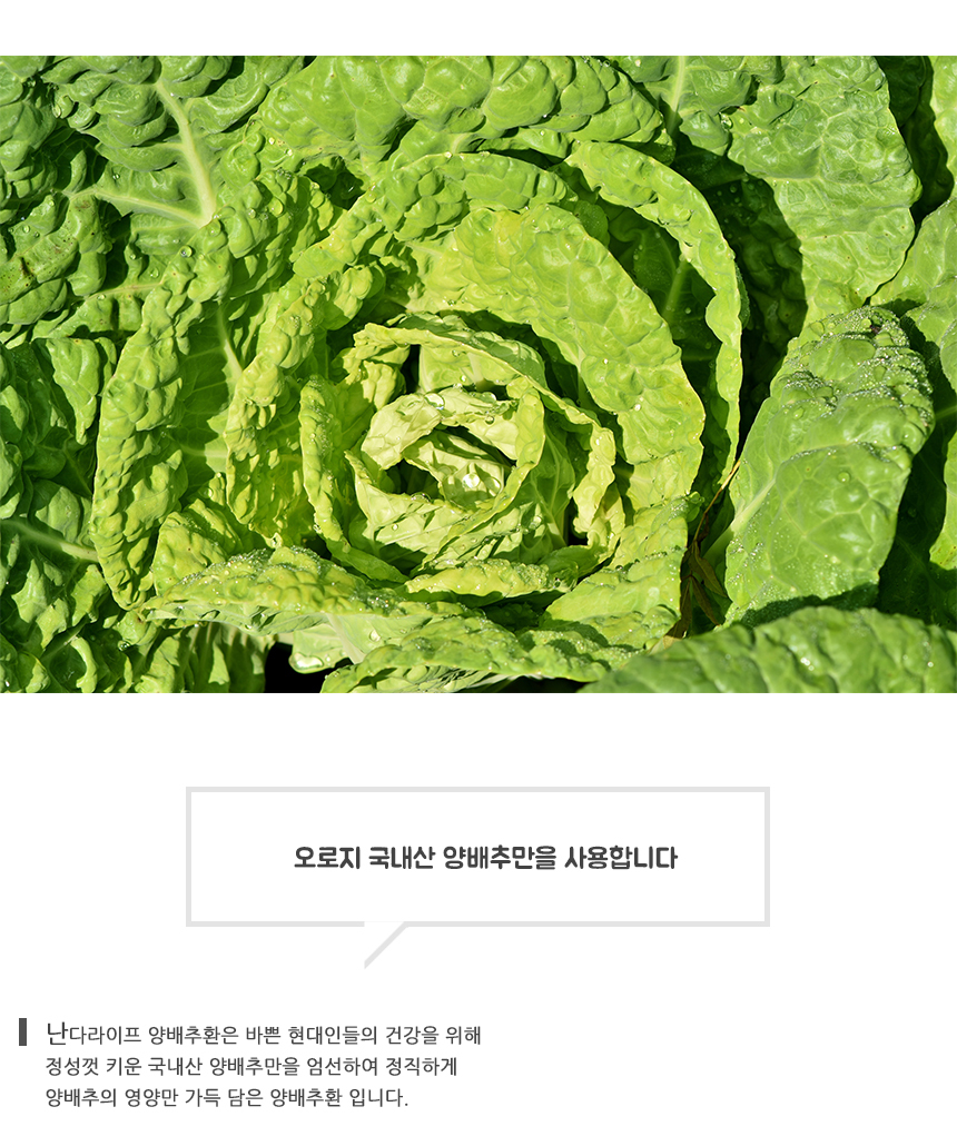 %EC%96%91%EB%B0%B0%EC%B6%94%ED%99%98%208.jpg