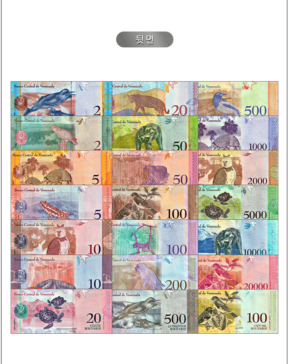 베네수엘라 21종 화폐 완전미사용 풀세트 UNC 남아메리카 해외 볼리바르 지폐 - G마켓 모바일