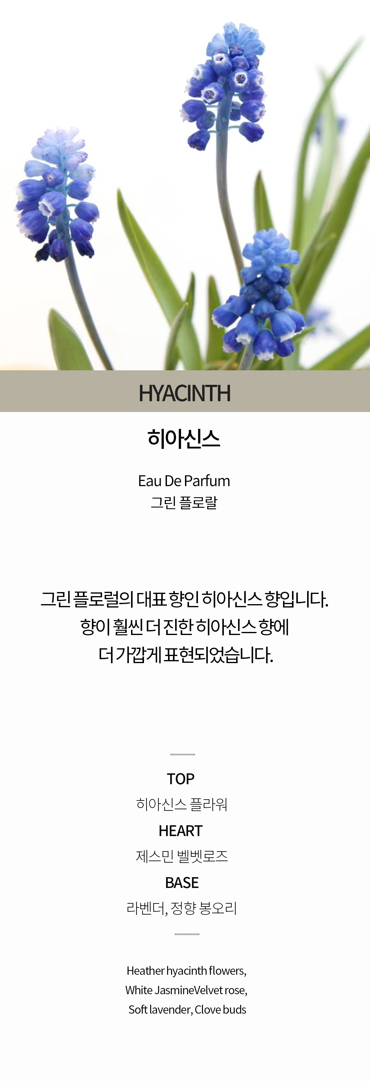 히아신스 [그린 플로랄 /히아신스향기 가득 명품 니치 오드퍼퓸 아카시아 바이알3개추가] 상세 이미지 2