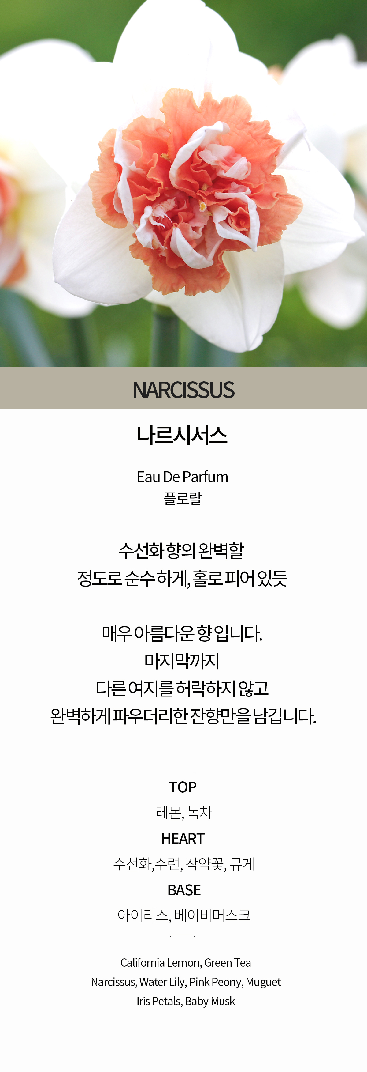 나르시서스 [플로랄 남여공용 명품니치향수 오드퍼퓸 30ml] 상세 이미지 3