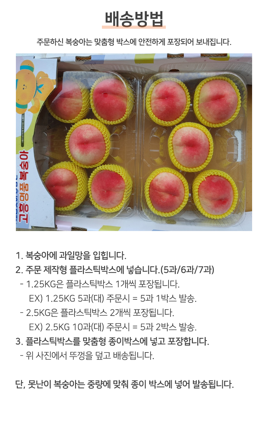 황도 백도 복숭아 1.25kg 고흥 최우수상 명품 복숭아 - 킴스오아시스
