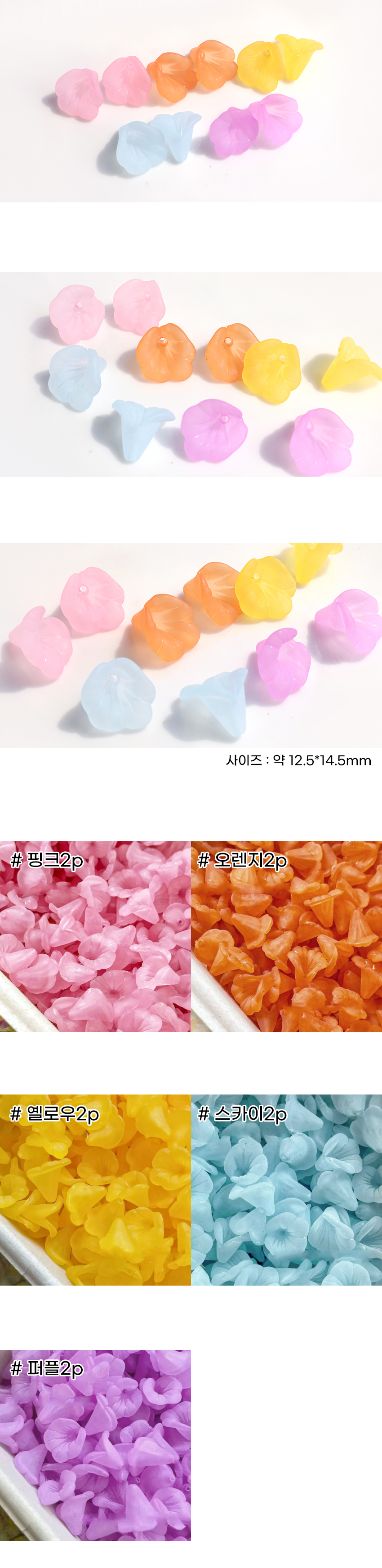 ���Ȳ� ���� 5color 2�� ��Ʈ ���� �̹���