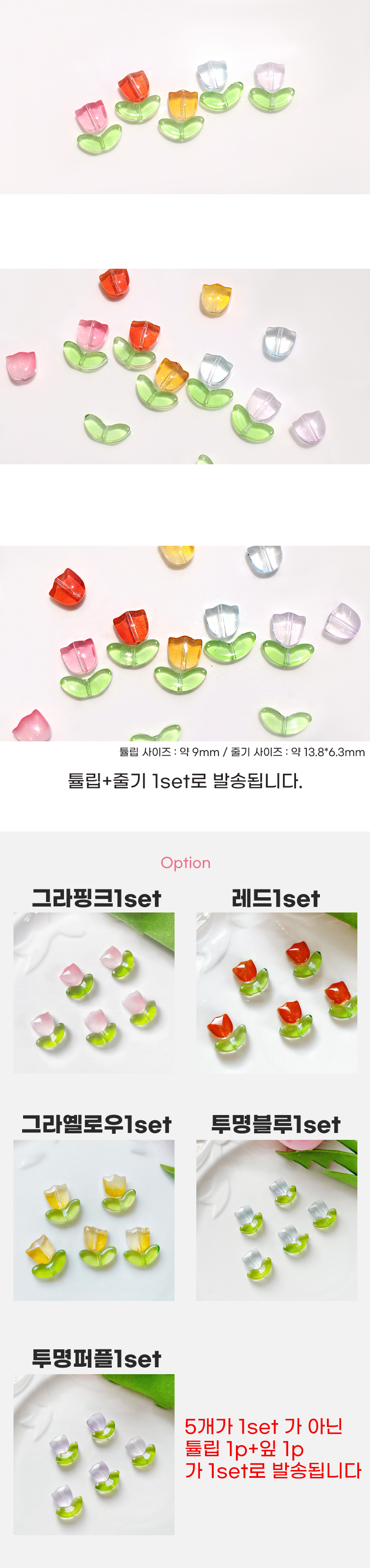 ƫ�� ���� 5color �ٰ� �ٱ� ��Ʈ ���� �̹���