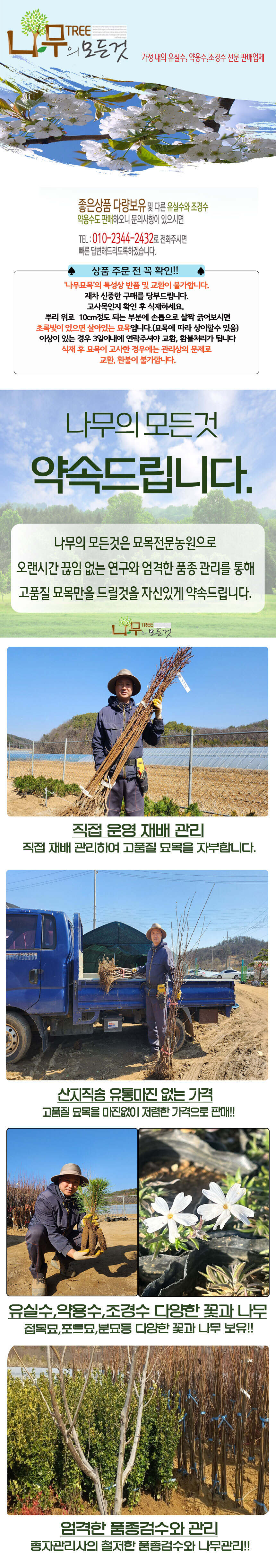 우수한 모과나무묘목 판매중 - G마켓 모바일