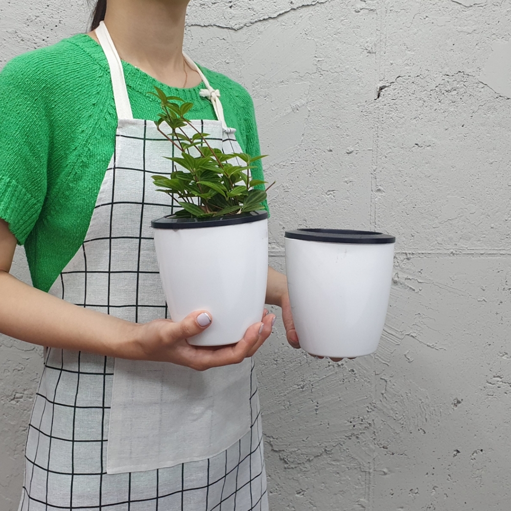 다육작은화분 화분배송 식물포장용기 자동관수화분 실내원형화분 둥근식물지지대 화분가격 초긴극식물자동관수기 자동화분관리기 화초보관용품 관리가쉬운화분 원형 자동급수 저면관수 중형 화분