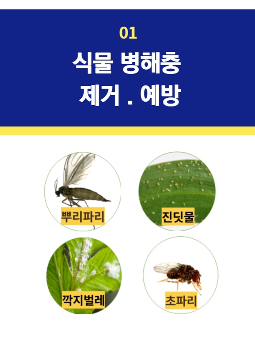 벅스싹싹 화분 화초 식물 고추 상추 텃밭 흰솜 깍지 벌레 진딧물 진디물 날파리 뿌리파리 살충제 퇴치 약 - 인터파크 쇼핑