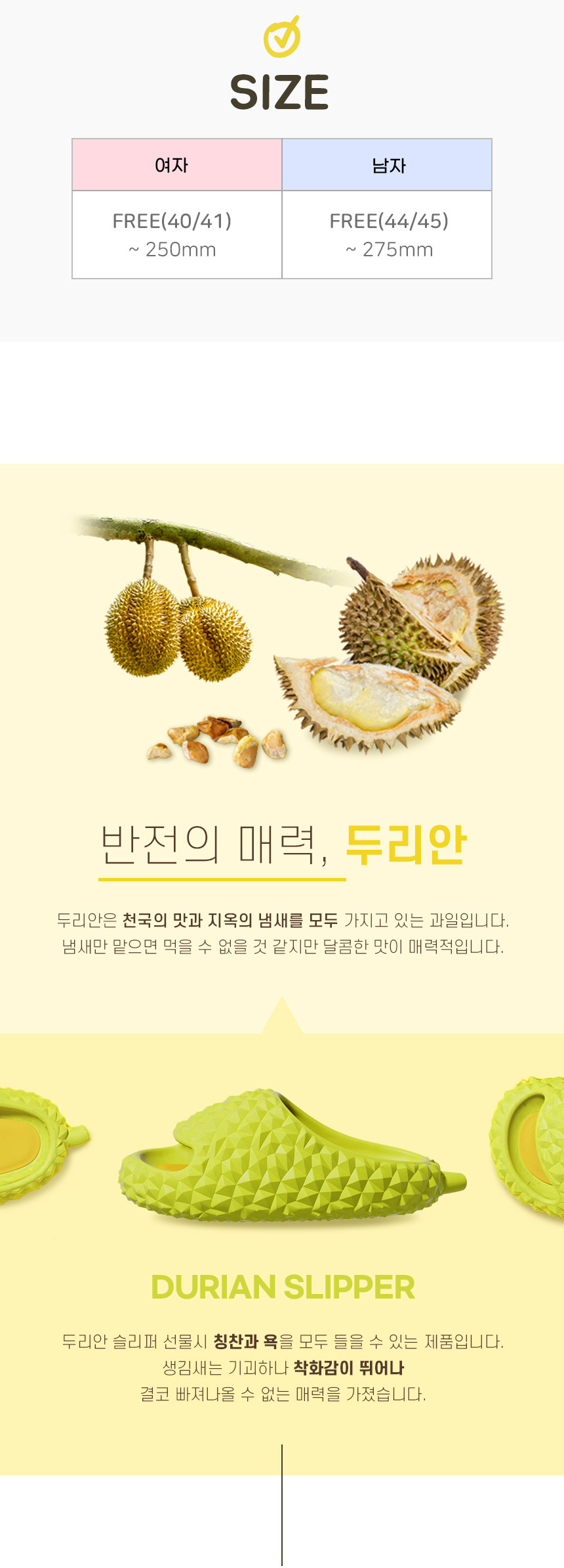 durian_slipper_04.jpg