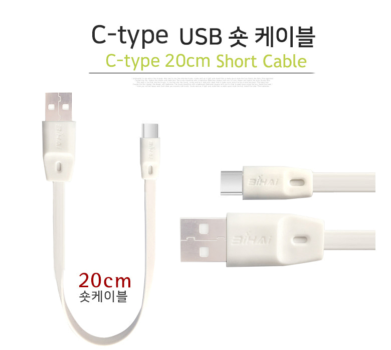 [플랫 20cm C타입 USB케이블]