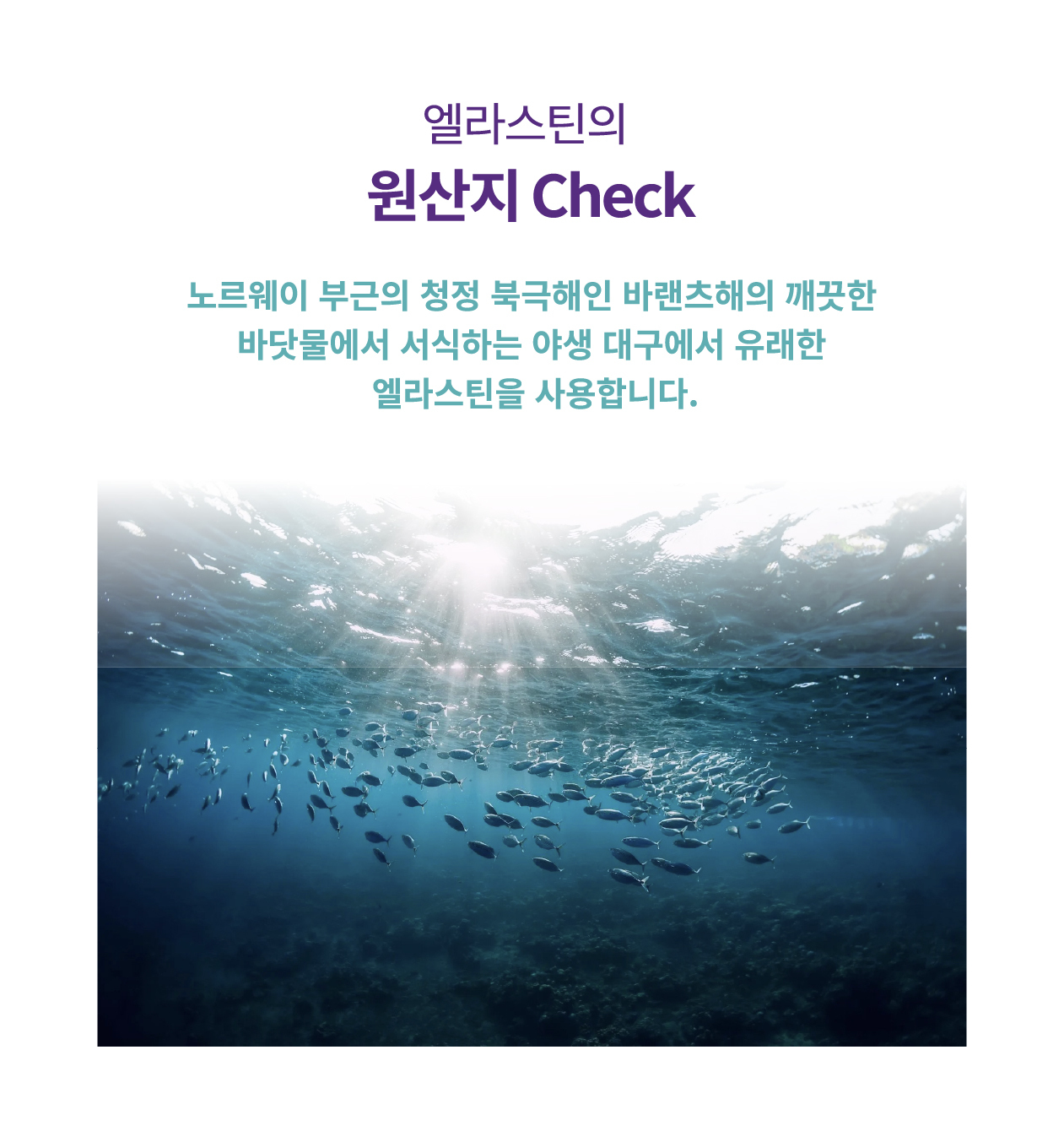 rejuran DNA beauty supplement