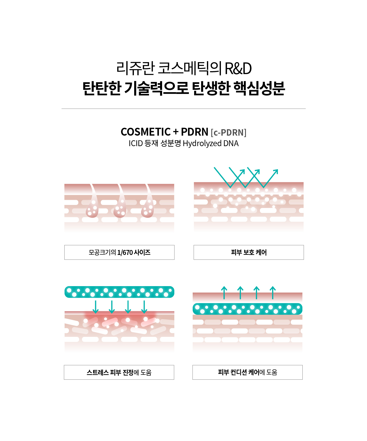 rejuran PDRN skincare set