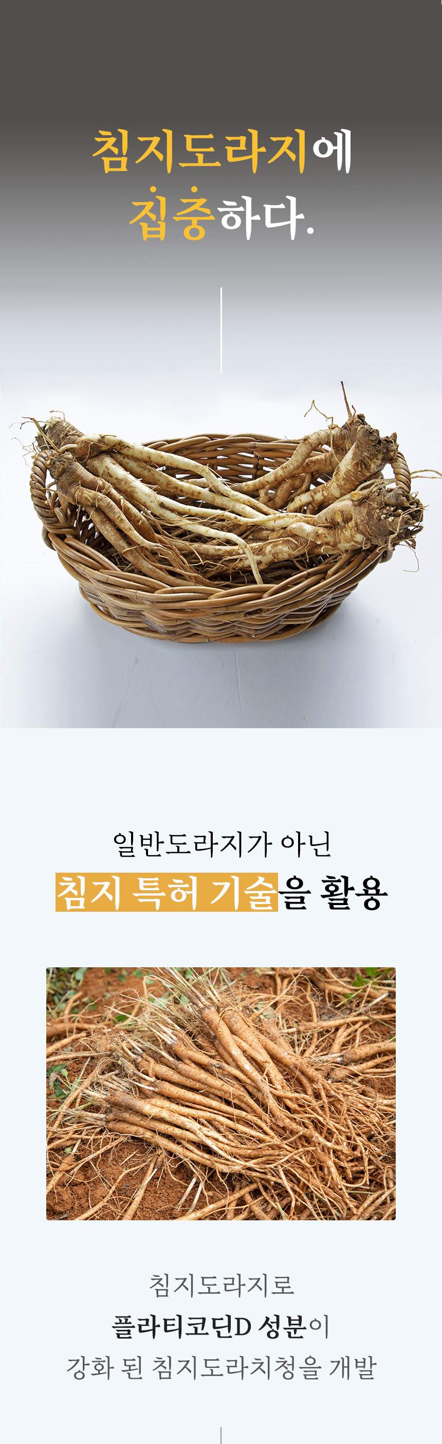 바라기 침지 도라지청 도라지 진액 120g 상세 이미지 4