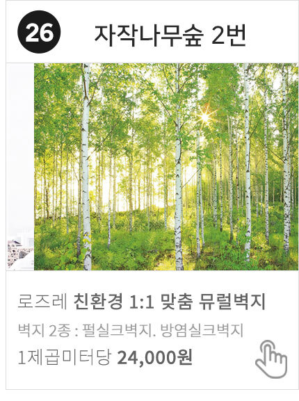 26 자작나무숲 2번 자연풍경 사진 뮤럴벽지