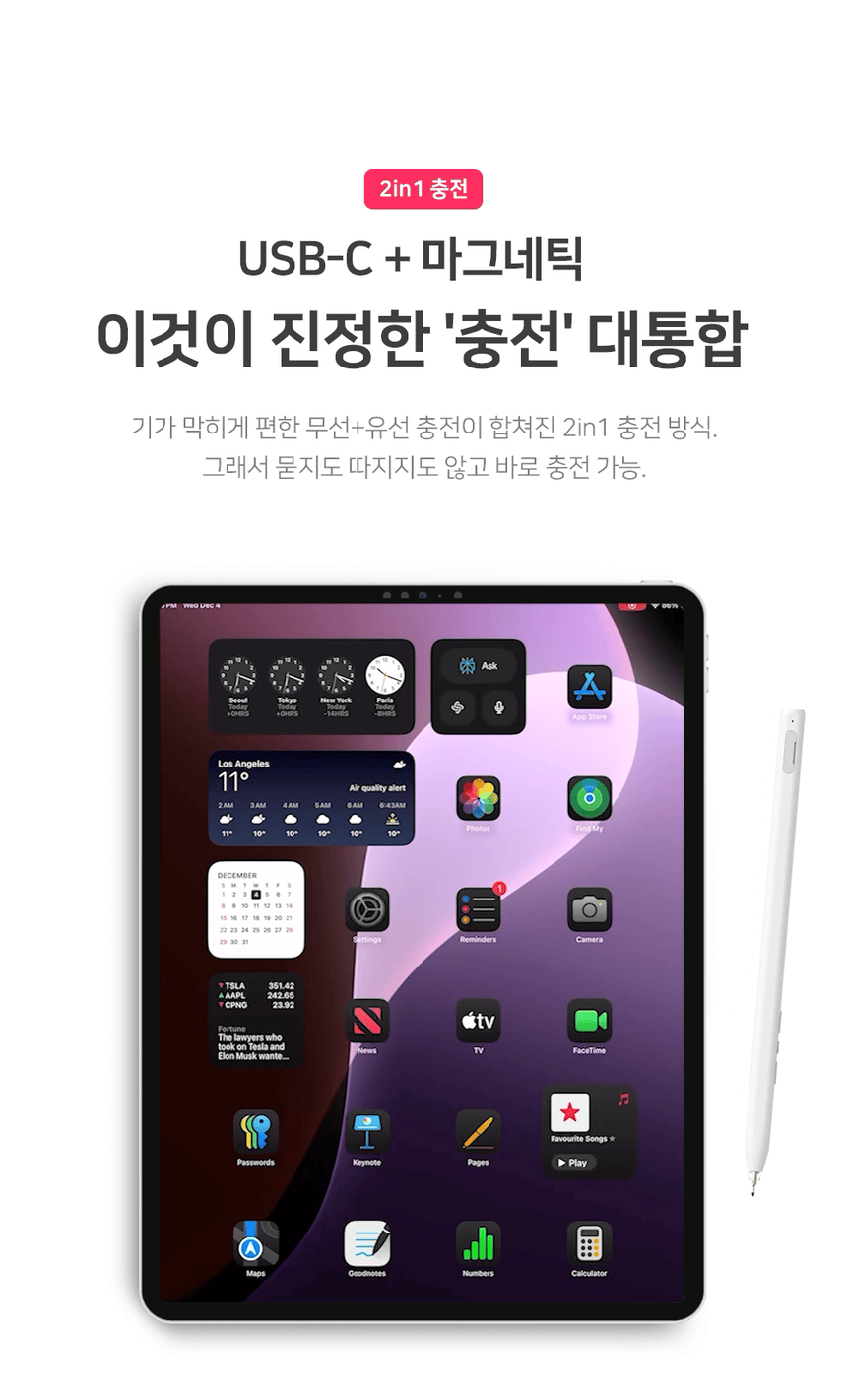 레드빈 더베러 펜슬 H1-P for iPad