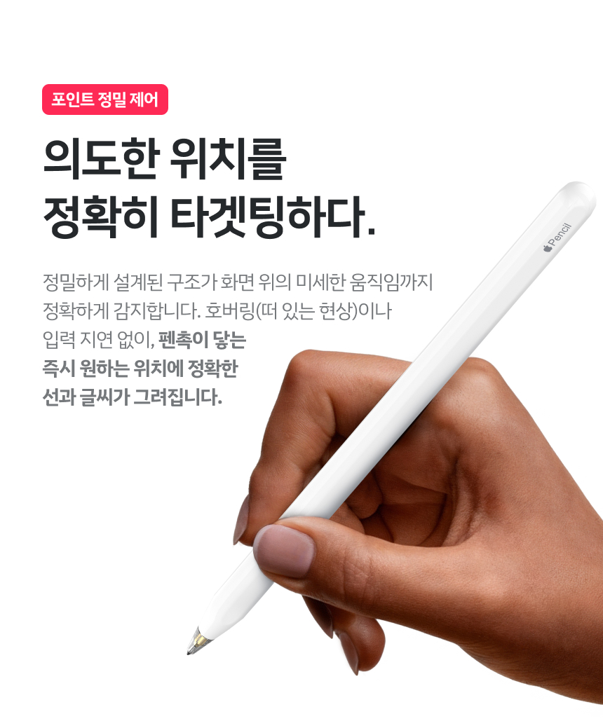 레드빈 아이패드 Q-Flex 펜촉 H2PT