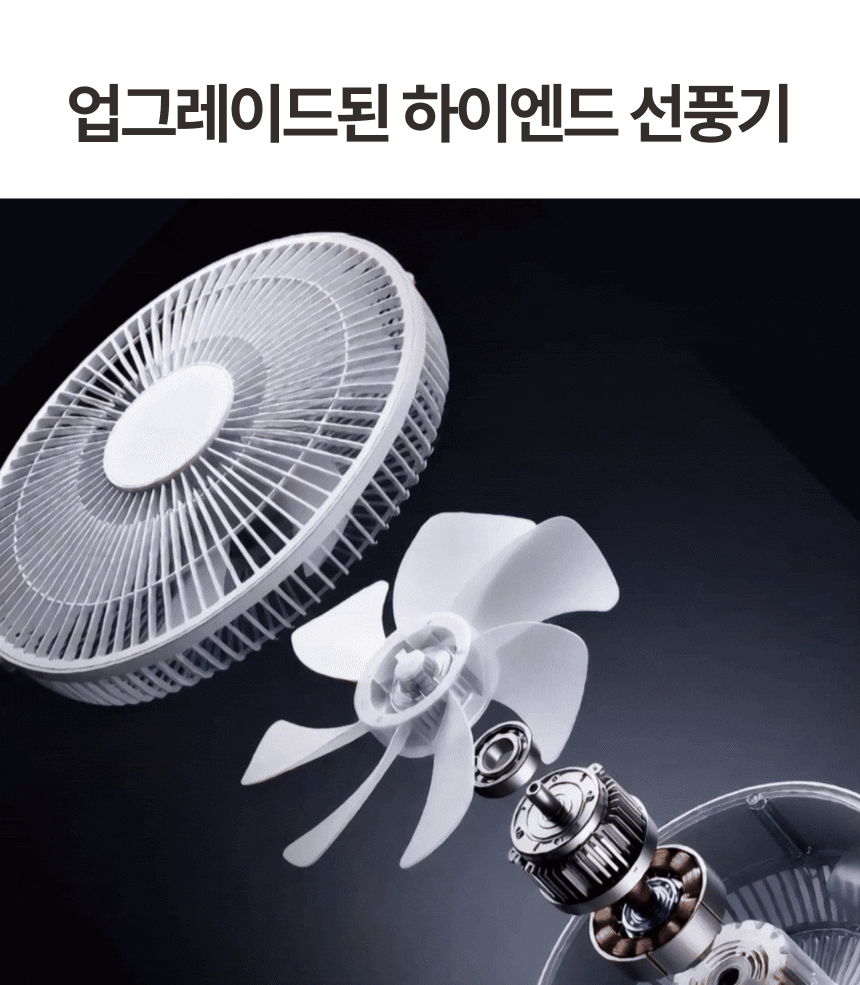 ebay11.gif