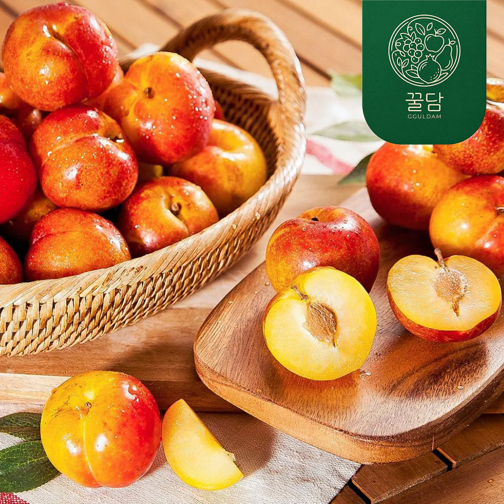 [꿀담] 과즙폭발 하우스자두 300g/500g/1kg/1.5kg