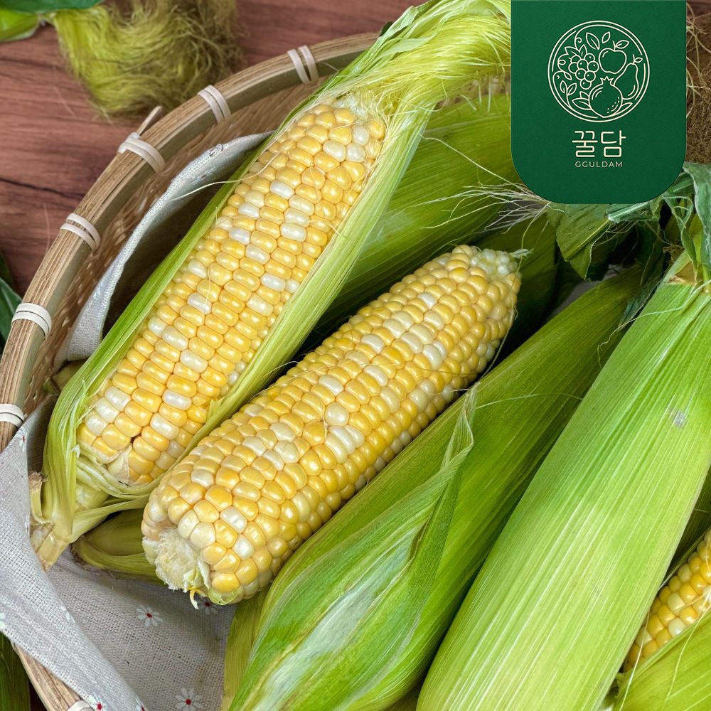 [꿀담] 아삭달콤 초당옥수수 5입/10입/15입/20입