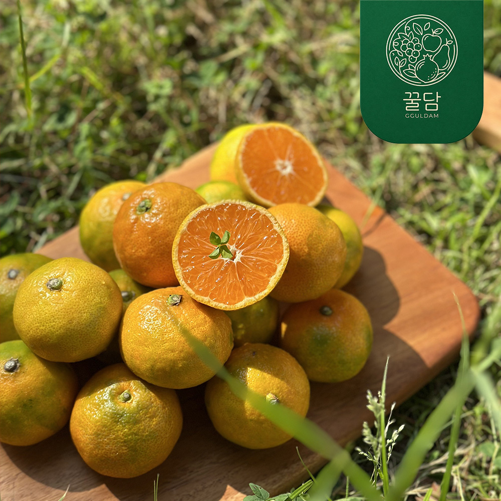 [꿀담] 제주 하우스 감귤(가정용) 2kg/3kg/5kg
