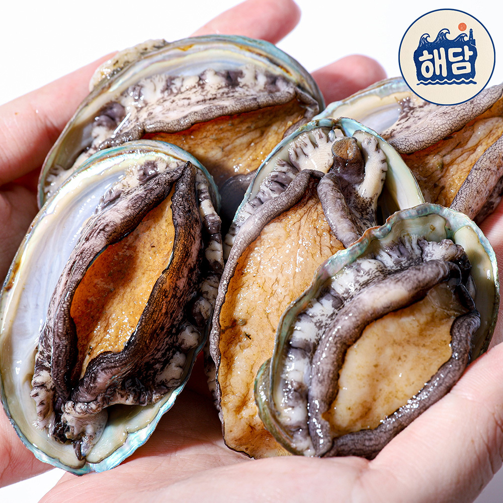 [해담] 완도 산지직송 활전복 1kg 중대/특/특대 (산소안심포장)