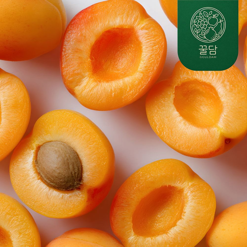 [꿀담] 국내산 새콤달콤 노지 살구 500g/1kg/2kg (여름한정)