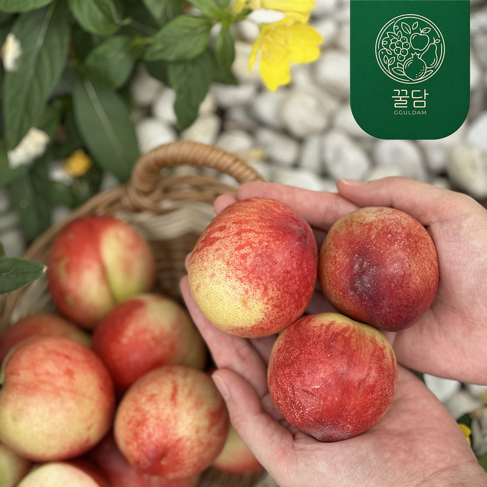 [꿀담] 과즙 팡팡 신비복숭아 800g/1kg