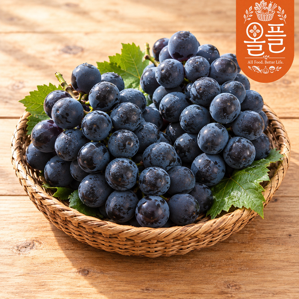 [올플] 진한 달콤함 머루포도 1kg/2kg/3kg