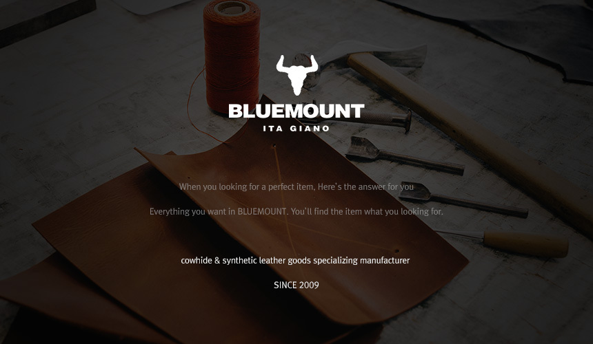 bluemount-banner.jpg
