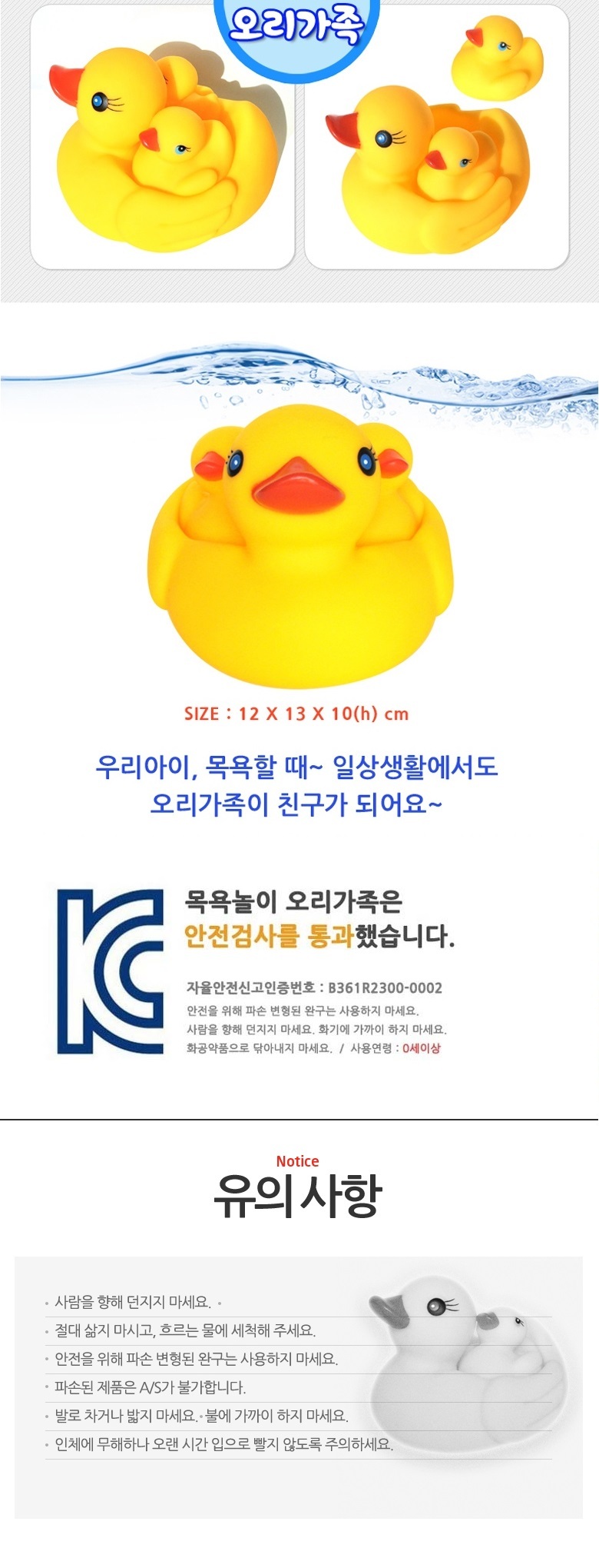 duckfamily_6000_2.jpg